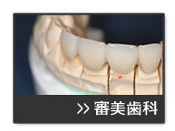 治療案内　審美歯科